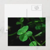 幸運 ポストカード (正面/裏面)