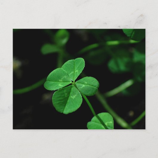 幸運 ポストカード (正面)