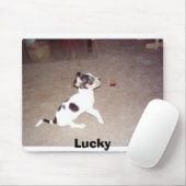 幸運 マウスパッド (マウス)