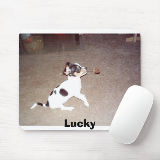 幸運 マウスパッド (マウス)