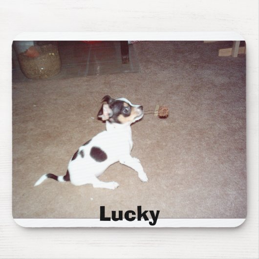 幸運 マウスパッド (正面)