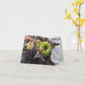 幹にミニ砂漠のサボテン カード (黄色い花)