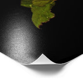 幹独身のバラ フォトプリント            (角)