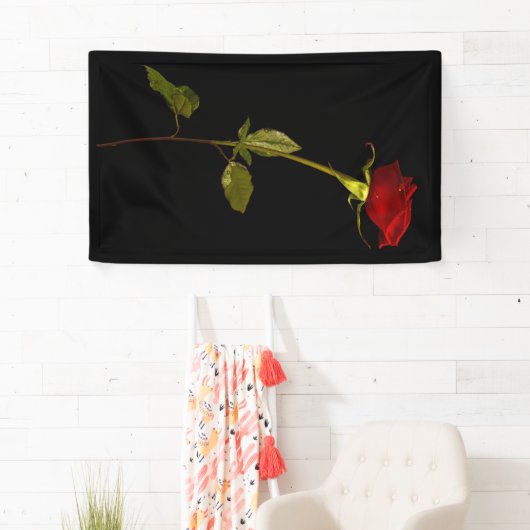 幹独身のバラ 横断幕 (インサイチュ)