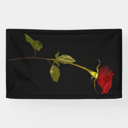 幹独身のバラ 横断幕 (横)