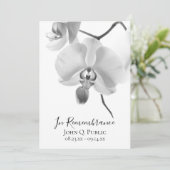 幹部葬儀社の白黒ラン プログラム (スタンド正面)