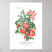 幹骨端 ポスター (正面)