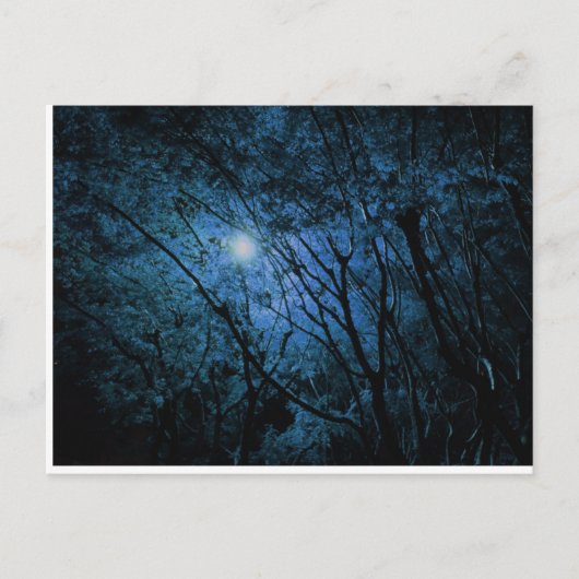 幻の暗い森 ポストカード (正面)