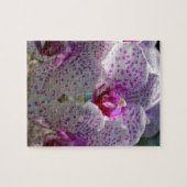 幻惑させる ジグソーパズル (横)