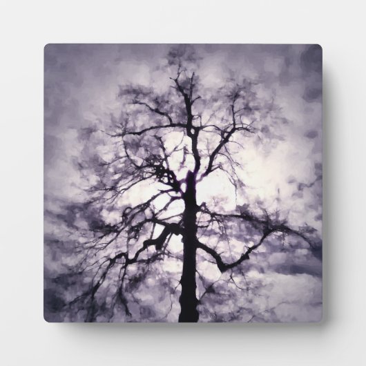 幻想写真プラーク フォトプラーク (正面)