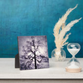 幻想写真プラーク フォトプラーク (インサイチュ)