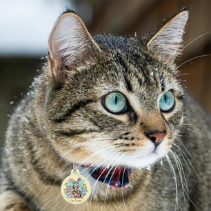 幻想的なパステルタビー妖精猫の花の幻想 ペット ネームタグ