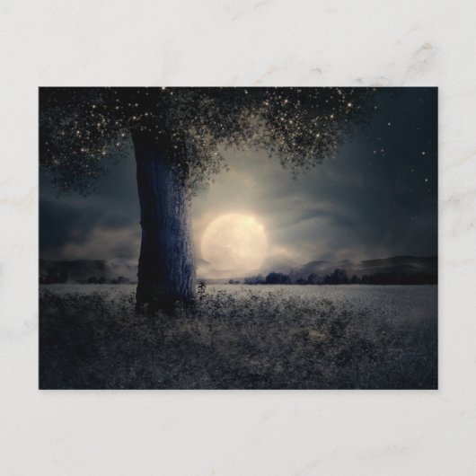 幻想的な夜月はがき ポストカード (正面)