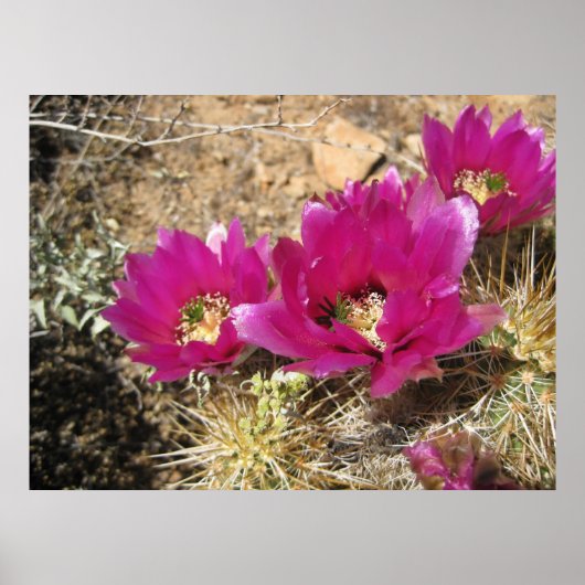 幻想的な暗い赤紫色(3)ポスター ポスター (正面)