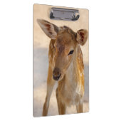 幻想的な森のシカの写真 クリップボード (右)