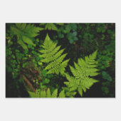 幻想的な森の植物画、3枚組のアート写真 ラッピングペーパーシート (正面3)