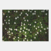 幻想的な森の植物画、3枚組のアート写真 ラッピングペーパーシート (正面)