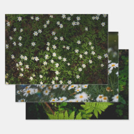 幻想的な森の植物画、3枚組のアート写真 ラッピングペーパーシート
