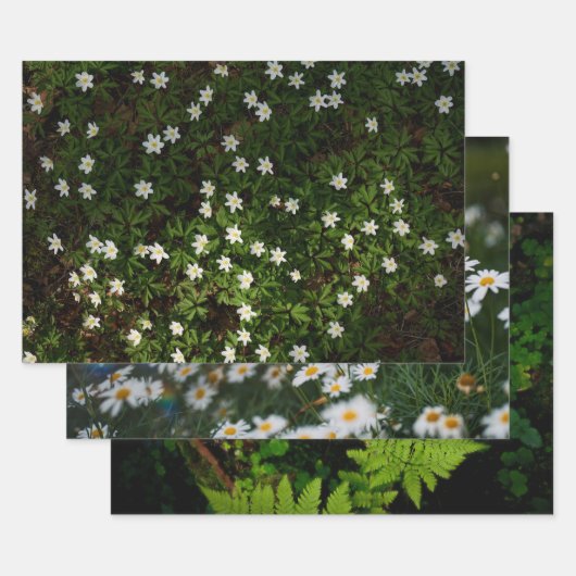 幻想的な森の植物画、3枚組のアート写真 ラッピングペーパーシート (セット)