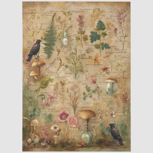 幻想的な植物芸術コラージュ デコパージュ 薄葉紙 (正面)