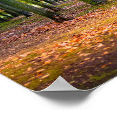 幻想的な秋の森 ポスター (角)