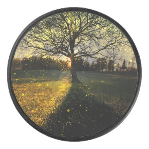 幻想的な蛍 アイスホッケーパック