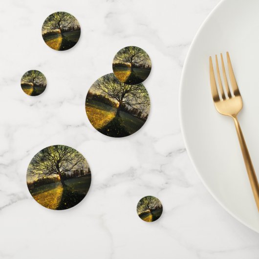 幻想的な蛍 コンフェッティ (グループ)