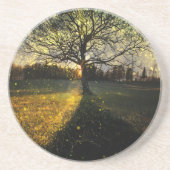 幻想的な蛍 コースター (正面)