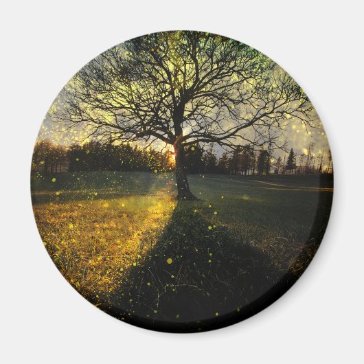 幻想的な蛍 マグネット (正面)