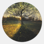 幻想的な蛍 ラウンドシール (正面)