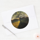 幻想的な蛍 ラウンドシール (封筒)