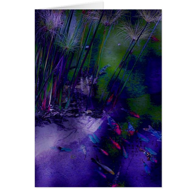 幻想的な鯉の池カード (正面)