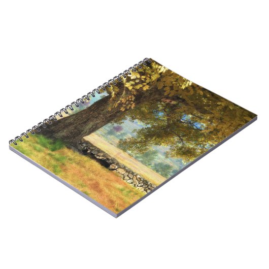 幻想的:ブナの木のノートの下 ノートブック (左側)