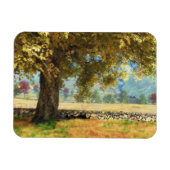 幻想的：ブナの木の下の柔軟な磁石 マグネット (横)