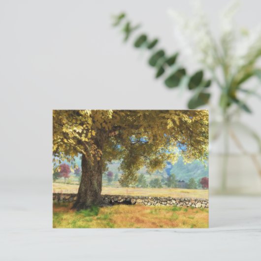 幻想：ブナの木のはがきの下 ポストカード (スタンド正面)