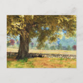 幻想：ブナの木のはがきの下 ポストカード (正面)