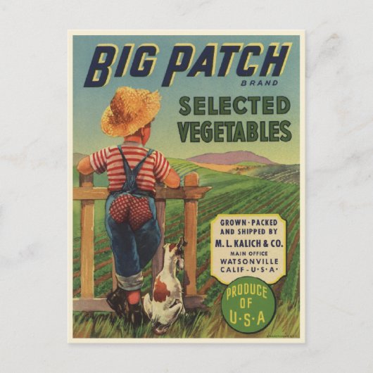 幼い子と犬のヴィンテージプリント付きハガキ ポストカード (正面)