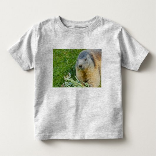 幼児のプルオーバーのフード付きスウェットシャツの社交的なmarmot トドラーTシャツ (正面)