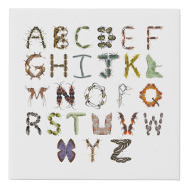 幼児向け昆虫デコレーション | 虫アルファベット フェイクキャンバスプリント