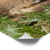 幼児用キツネキット ポスター (コーナー)