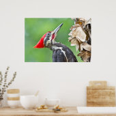 幼少期のキツネザルのプロフィールポスター ポスター (キッチン)