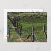 幼少期 ポストカード (正面/裏面)