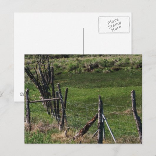 幼少期 ポストカード (正面/裏面)