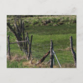 幼少期 ポストカード (正面)