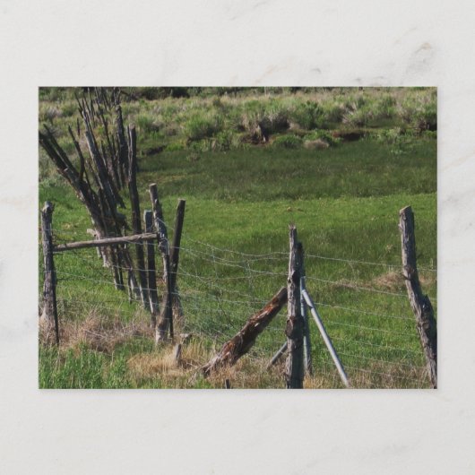 幼少期 ポストカード (正面)