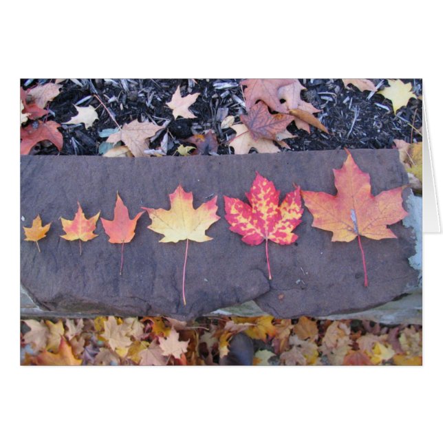 幼年期はつかの間です (正面横)