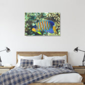 幼生のエグアルアンジェフィッシュ・ピゴプリーツ キャンバスプリント (インサイチュ (寝室))