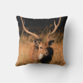 幼生生物 |バンダーブル国立公園 クッション (裏面)