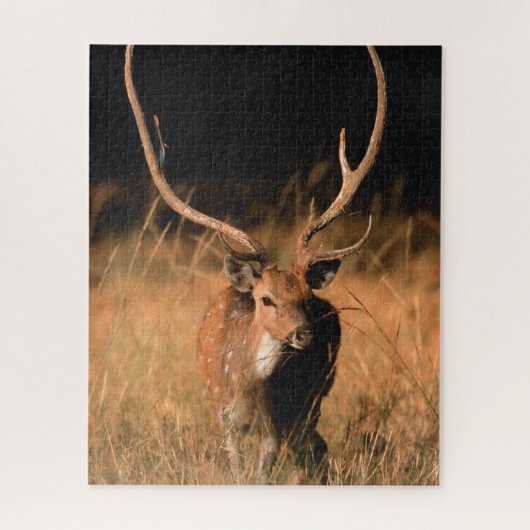 幼生生物 |バンダーブル国立公園 ジグソーパズル (縦)