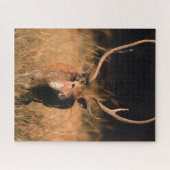 幼生生物 |バンダーブル国立公園 ジグソーパズル (横)